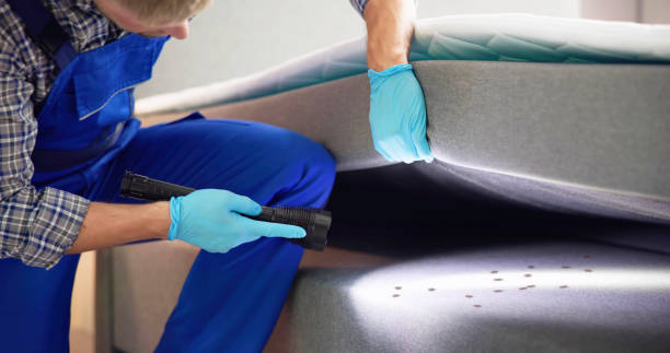 Best Pest Removal Services  in Shippensburg University, PA